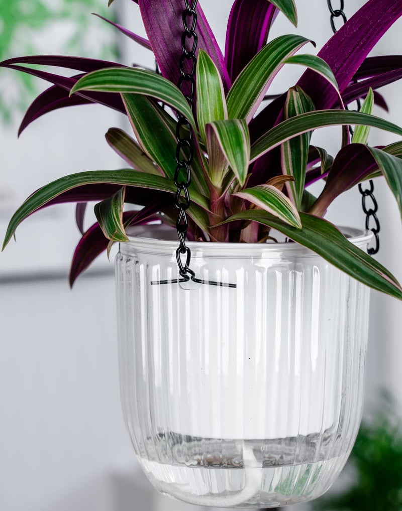 Josteve 4.5 Inch 3 Pcs Self Watering Hanging Planter Indoor Plant Hanging Pots Drainage Holes  Outdoor Small Hanging Planters Flower Pot Basket  Visible Water Level  Plant Hanger Home Decor  Gardening - Image 5